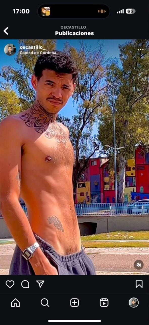 Oecastillo1