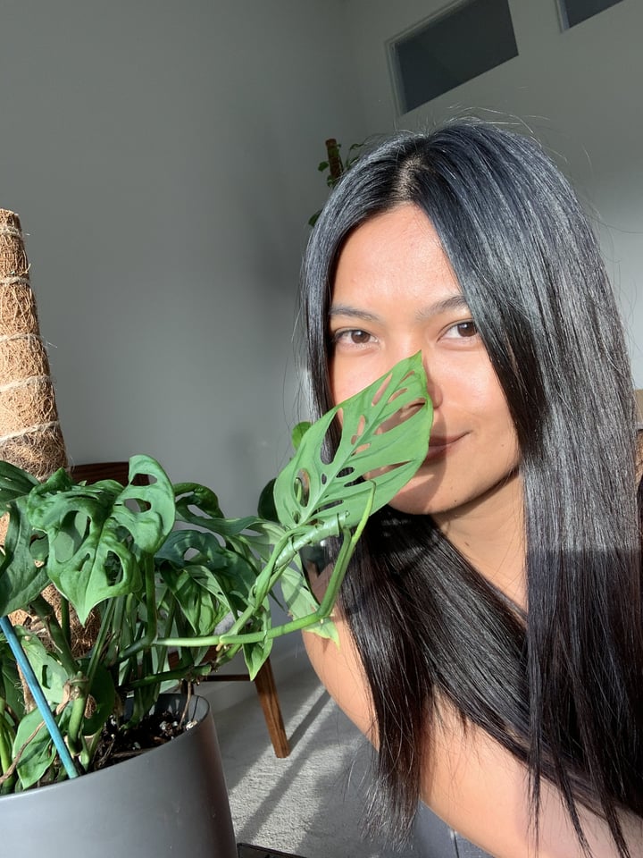 Onlyplants2