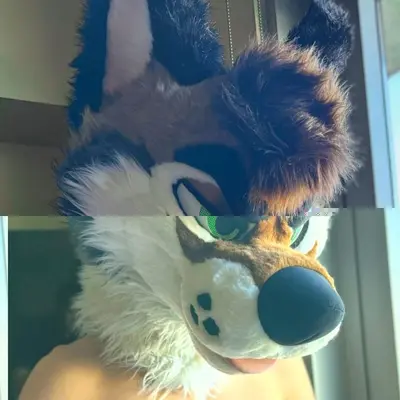 Palacewolf