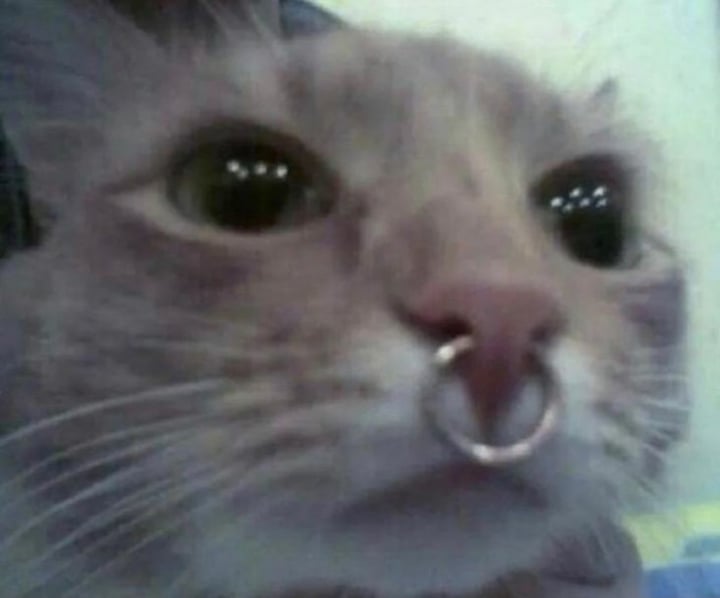 Petitmandy
