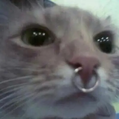 Petitmandy