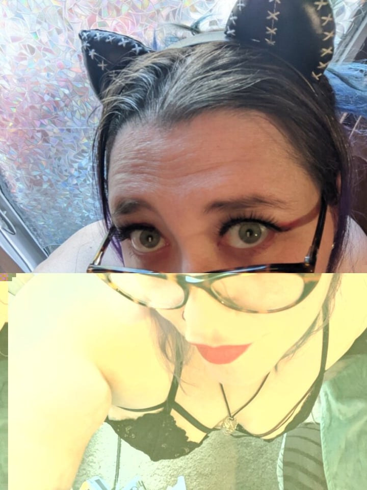 Petthecosmickitten