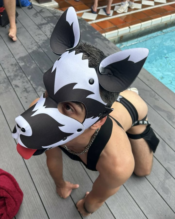 Puplogan24