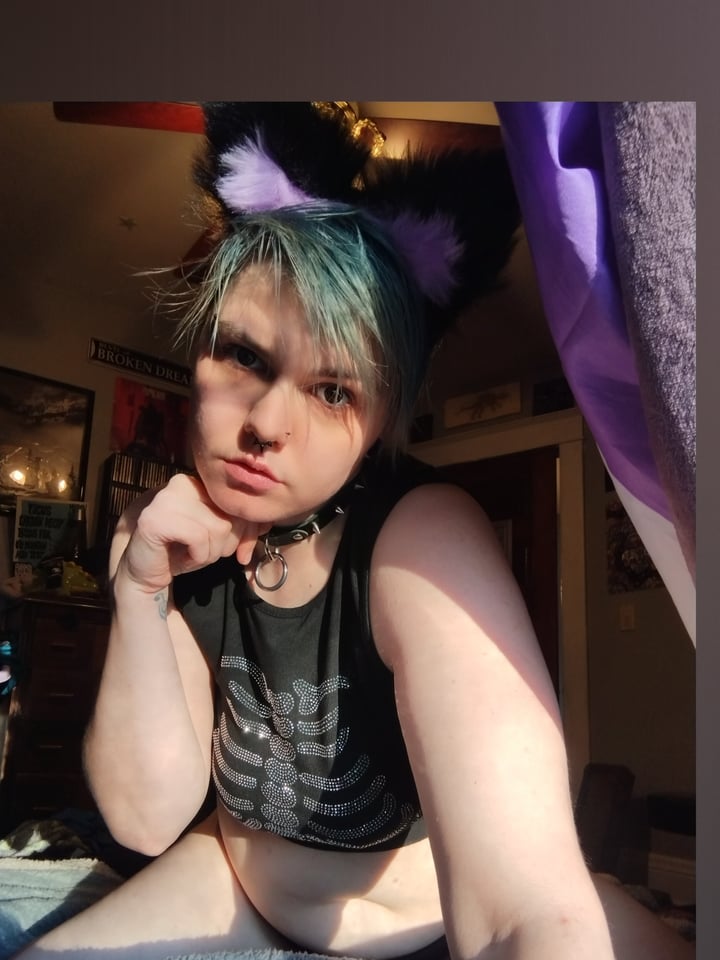 ✨Kitt Mischief✨