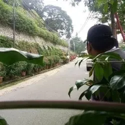 Yeoning Gun