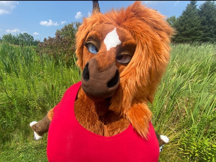 Rainhorsie