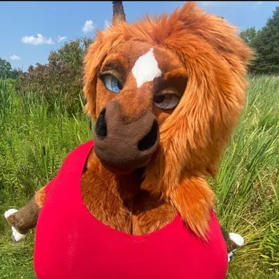 Rainhorsie
