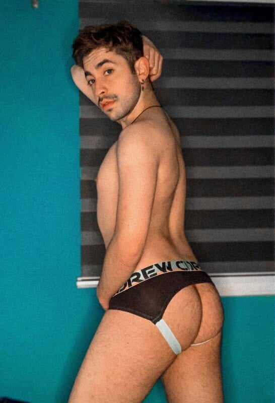 Raulpenailillo