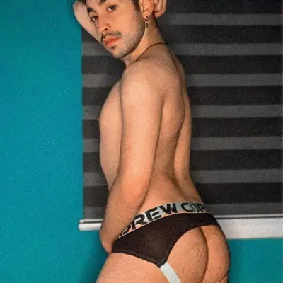 Raulpenailillo