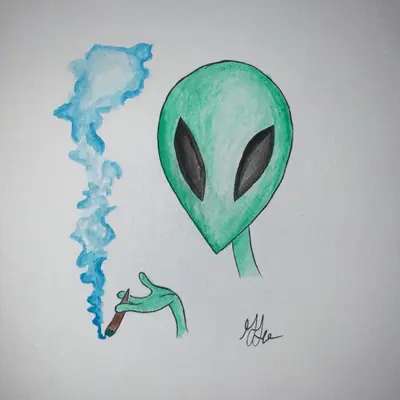 Renfourtwenty
