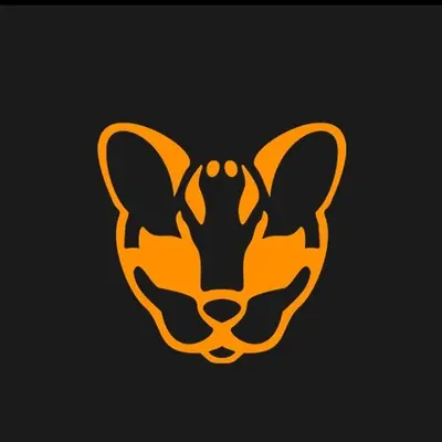 Rockerocelot