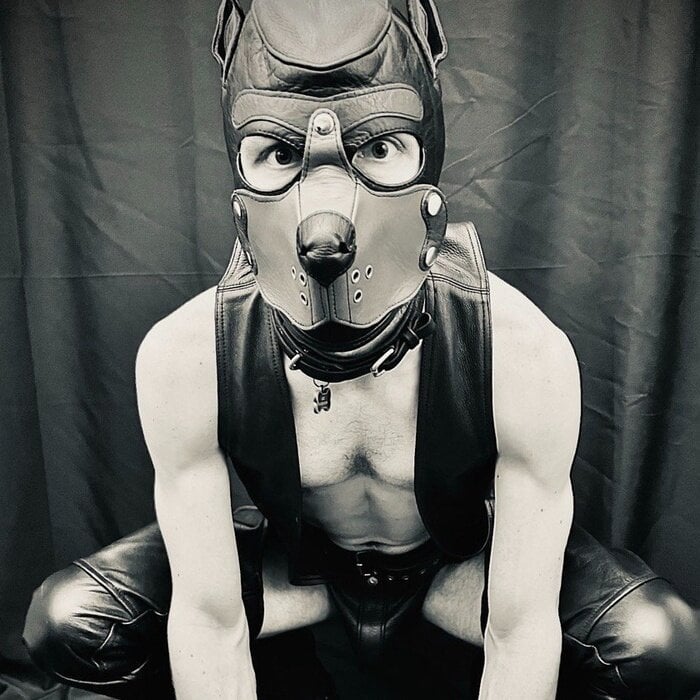 Rocketsmutts