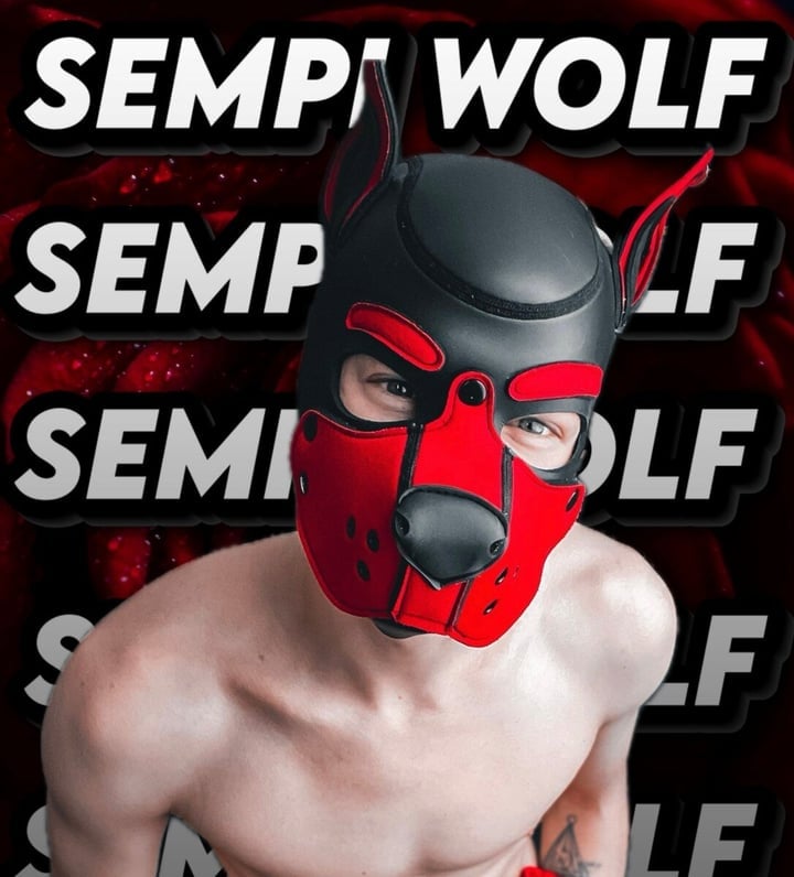 Sempiwolf