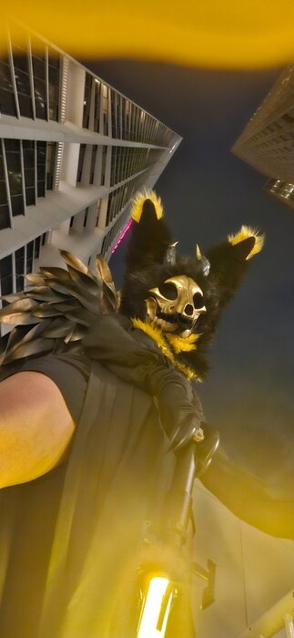 Skullwolfs