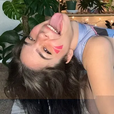 Softdahliaxo