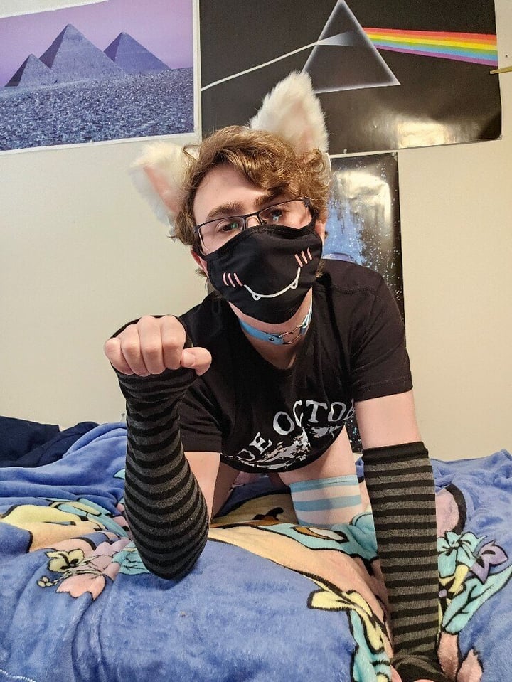 Spiceboiz