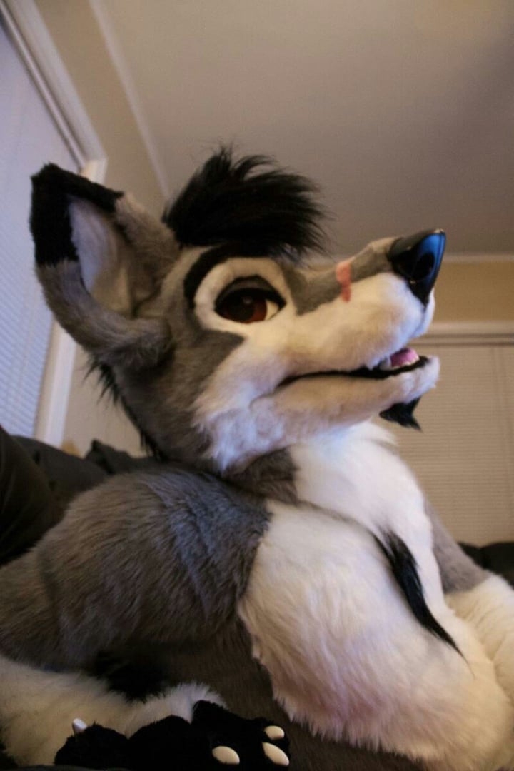 Stallionwolf