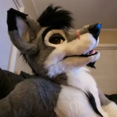 Stallionwolf