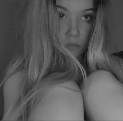 Taylorparadise