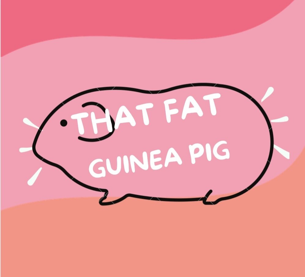 Thatfatterguineapig