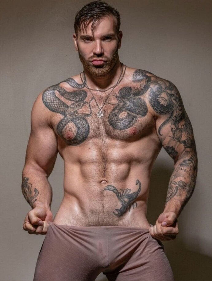 Themaxhilton
