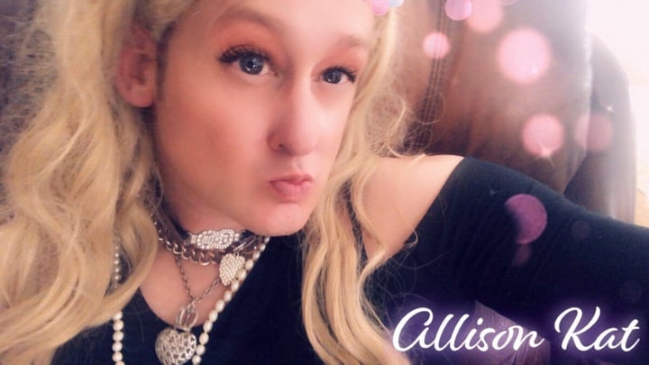 Transdollkat