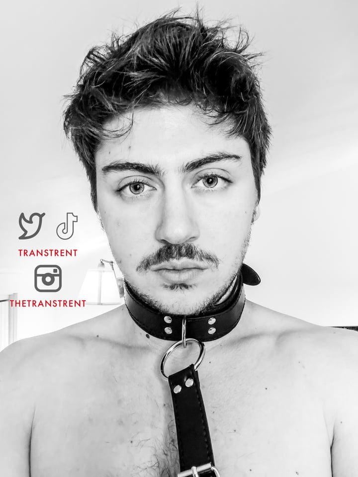 Transtrentfree