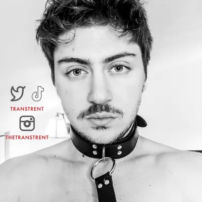 Transtrentfree