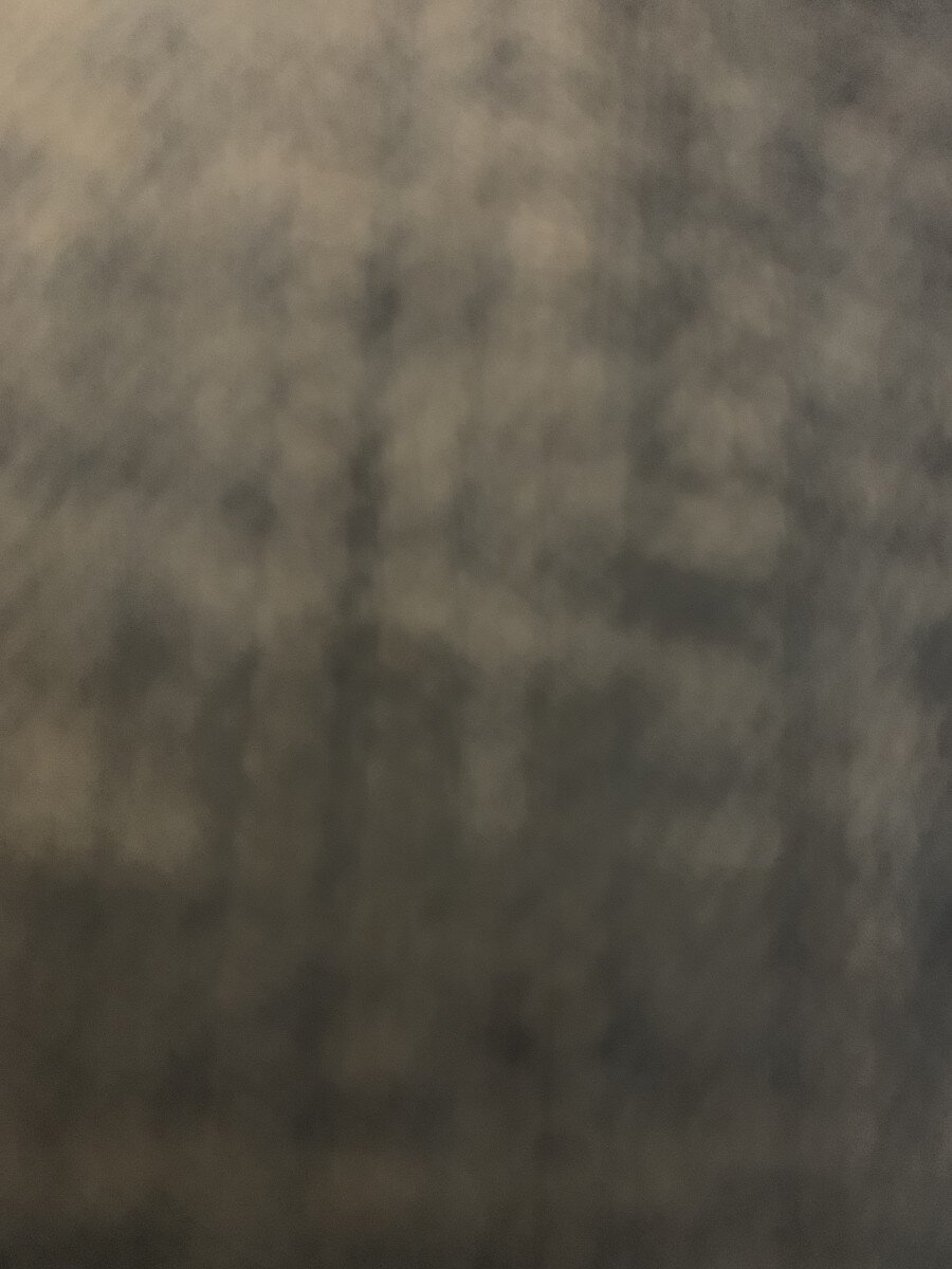 U33856071