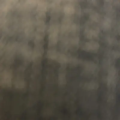 U33856071