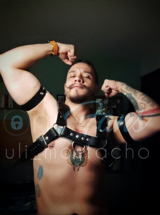 Ulimostacho