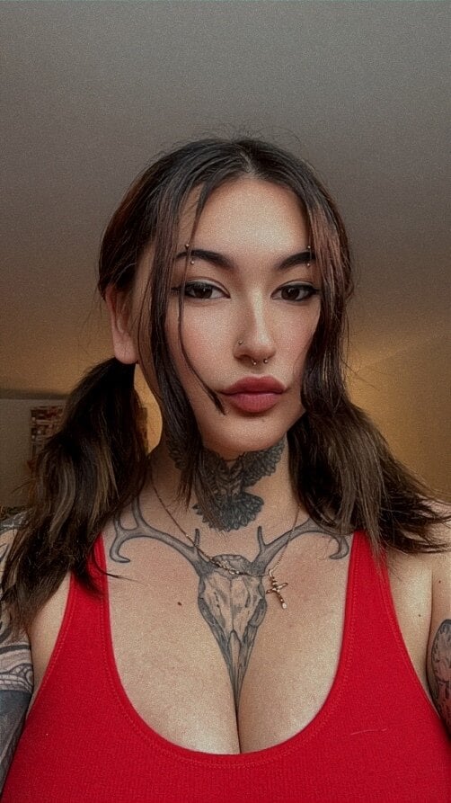 Videlkitten