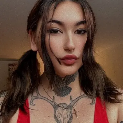 Videlkitten