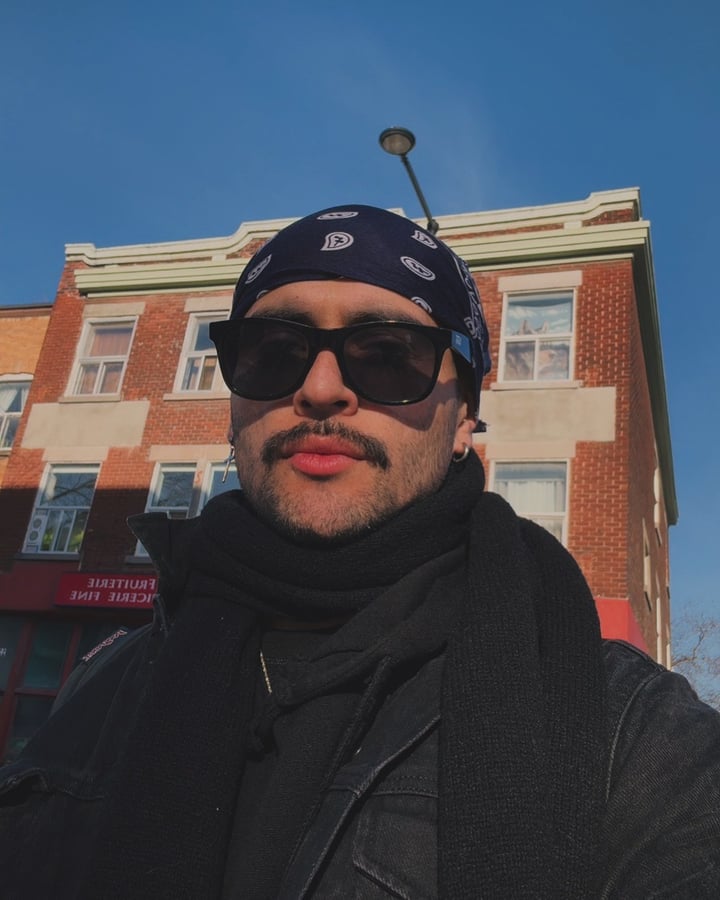 Viidalomx