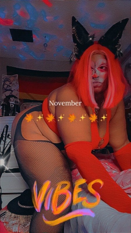 Wyntervixxen